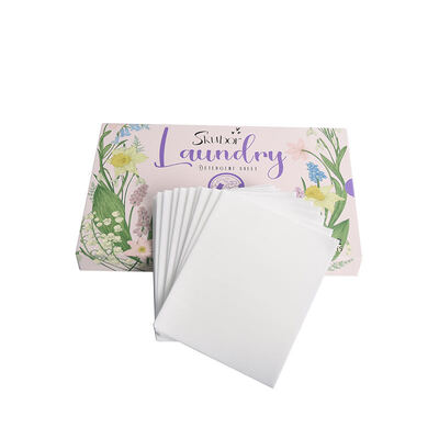 Lentes de lavado y detergente ecológicas Envases de viaje fáciles de transportar Lavadoras domésticas esenciales